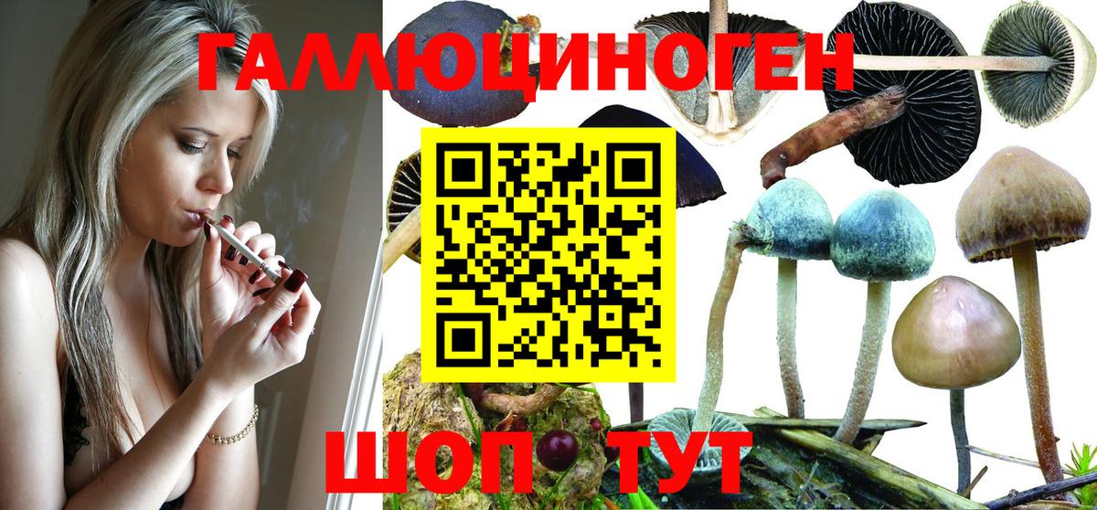 Псилоцибиновые грибы MAGIC MUSHROOMS Черкесск