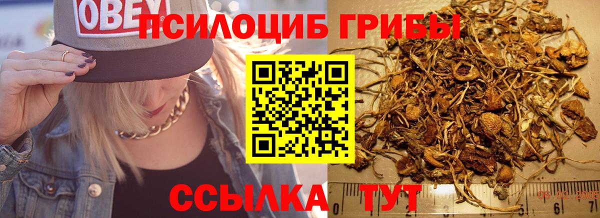 Галлюциногенные грибы Cubensis  Галлюциногенные грибы мицелий  продажа наркотиков  Черкесск  Вход с VPN 